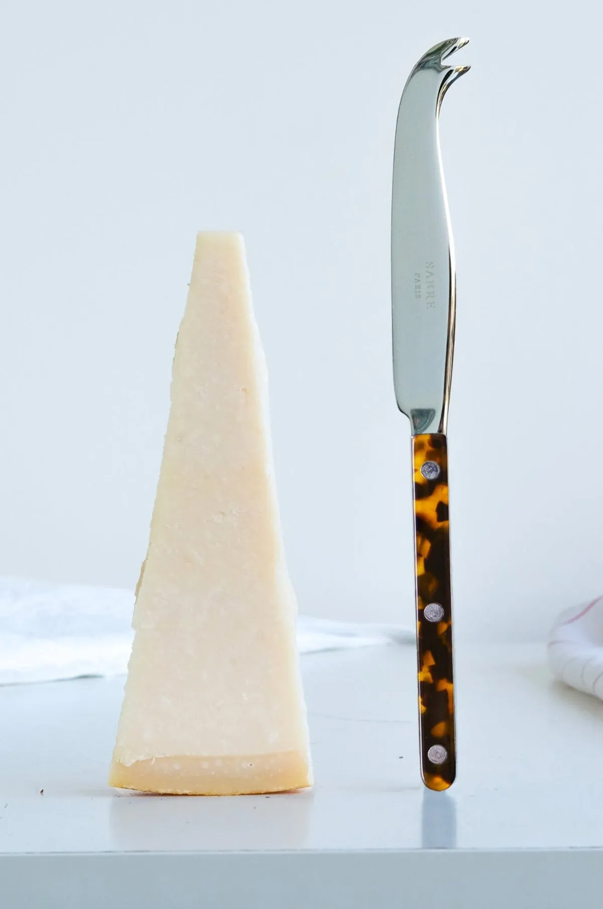 Cheese Knife Bistrot Tortoise