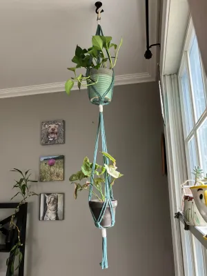 Double Plant Hanger