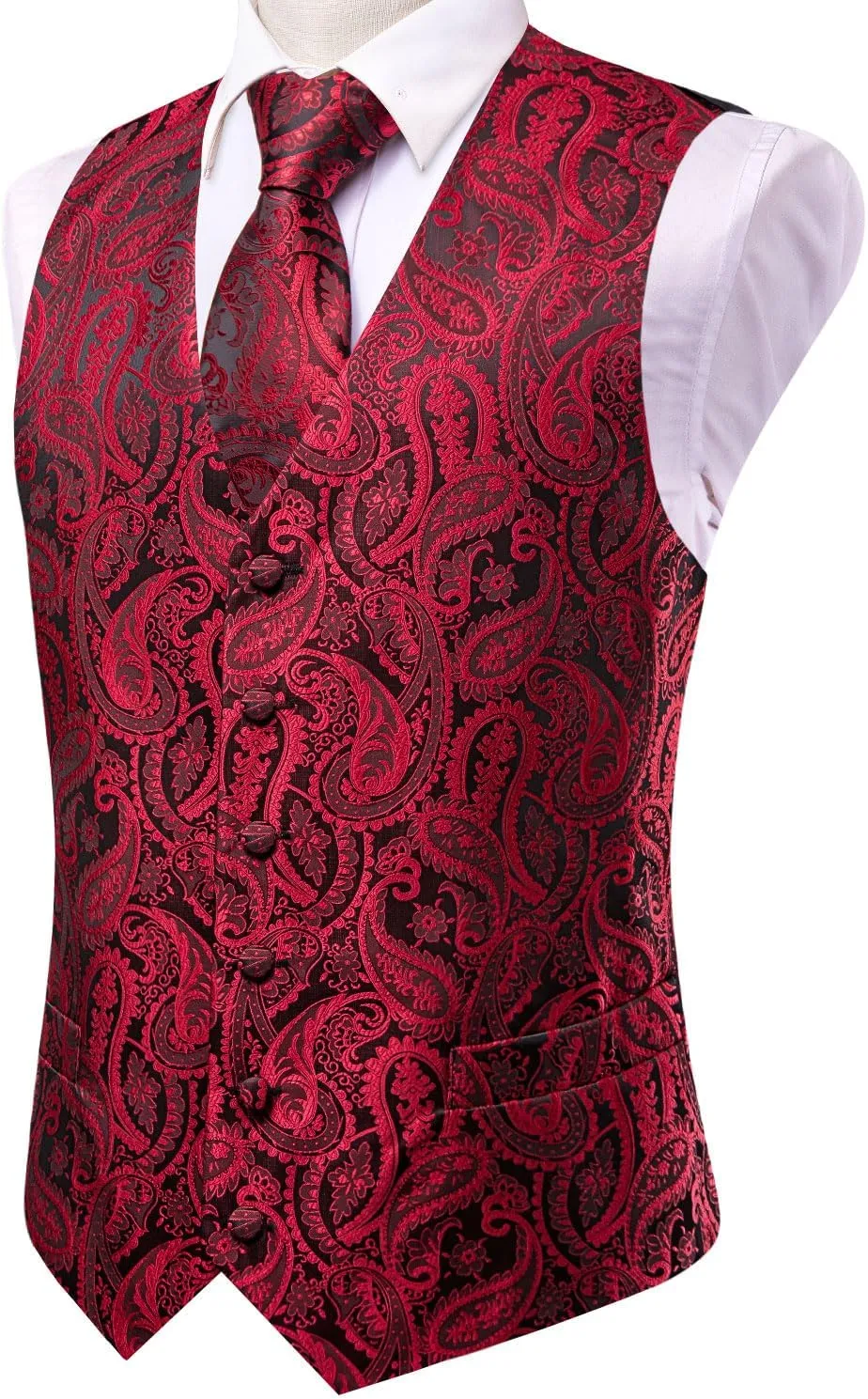 Dubulle Mens Vest and Tie Set Paisley Floral Waistcoat Neckties for Men Lapel Pin Clip Set Wedding Business