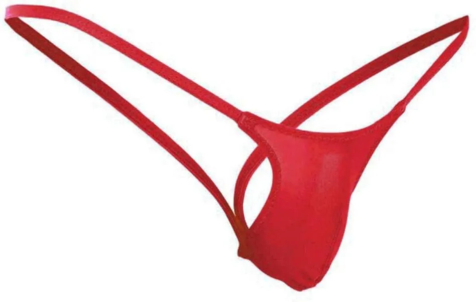 Silky Bulge Pouch Briefs for Men Ice Silk Low Rise Thong G-String Elephant Nose Sissy Panties Underpants Underwear
