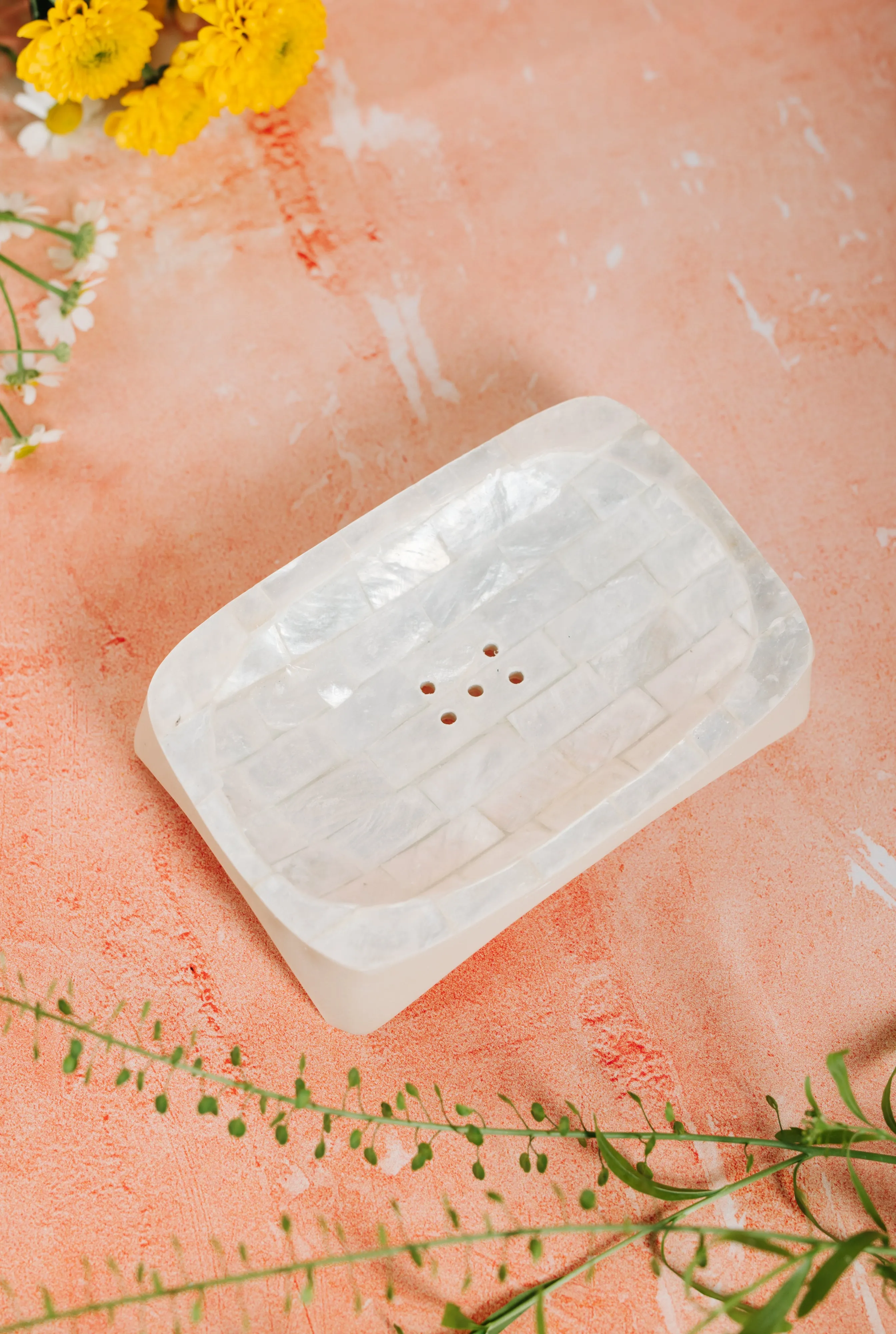 Square Shell Soap/Trinket Dish (SWT 073)