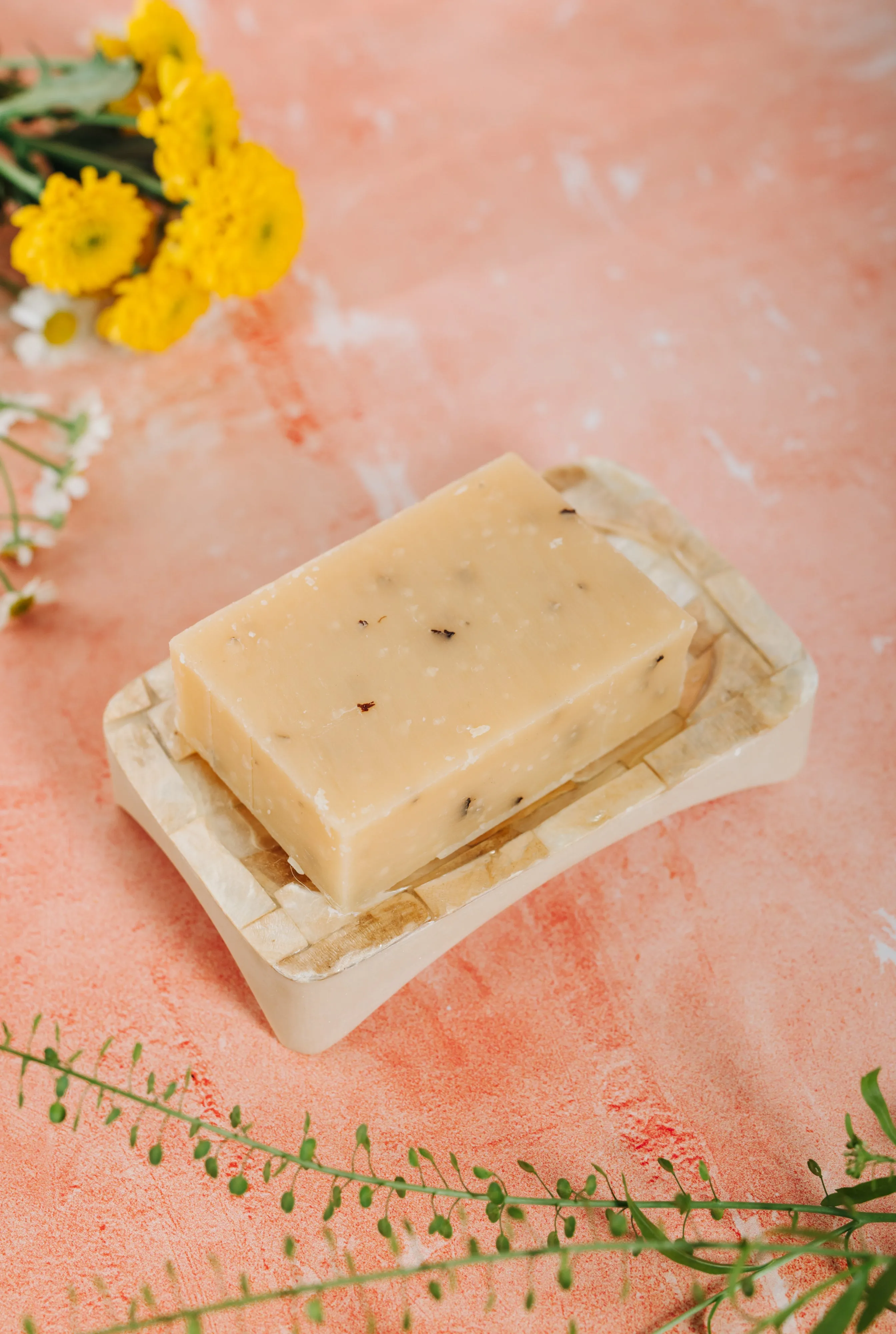 Square Shell Soap/Trinket Dish (SWT 073)