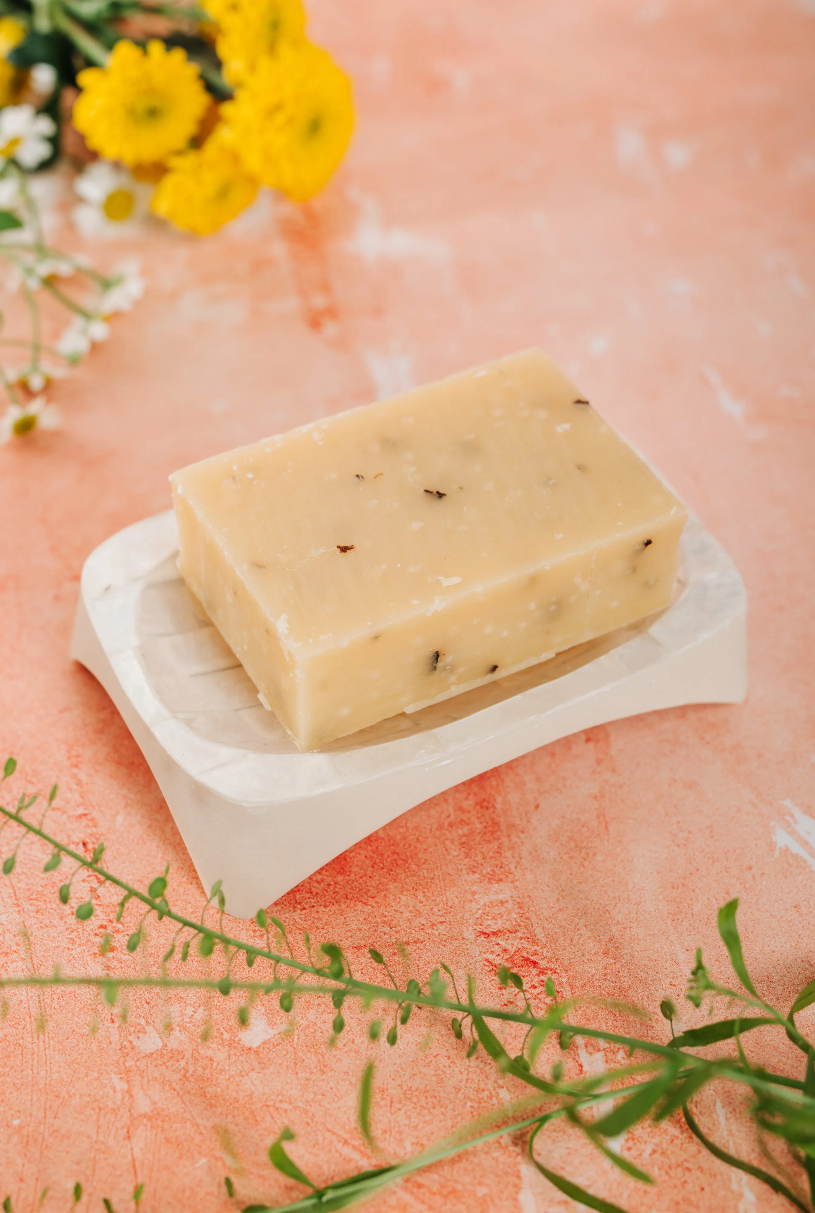 Square Shell Soap/Trinket Dish (SWT 073)